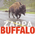 Buffalo