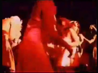 Peaches En Regalia (V1) - Baby Snakes VHS
