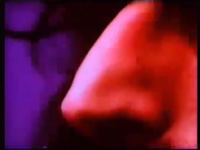 Peaches En Regalia (V1) - Baby Snakes VHS