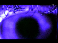 VPRO, 2000