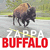 Buffalo